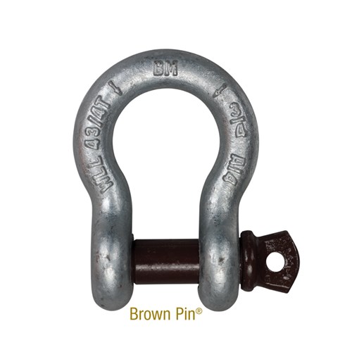 SCREW PIN ANCHOR SHACKLES BROWN PIN